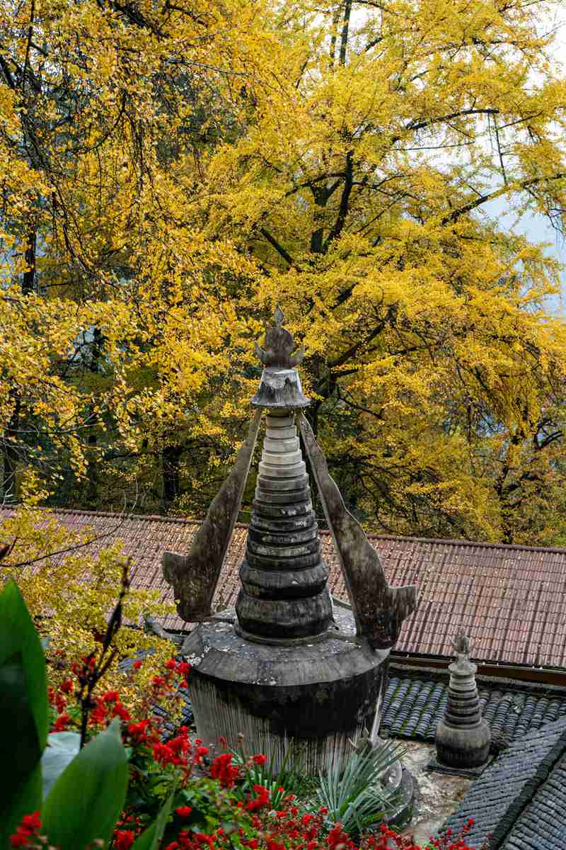 成都飞大连，从火锅到海鲜，跨越两千公里的山海之约-第1张图片-四川省中国青年旅行社